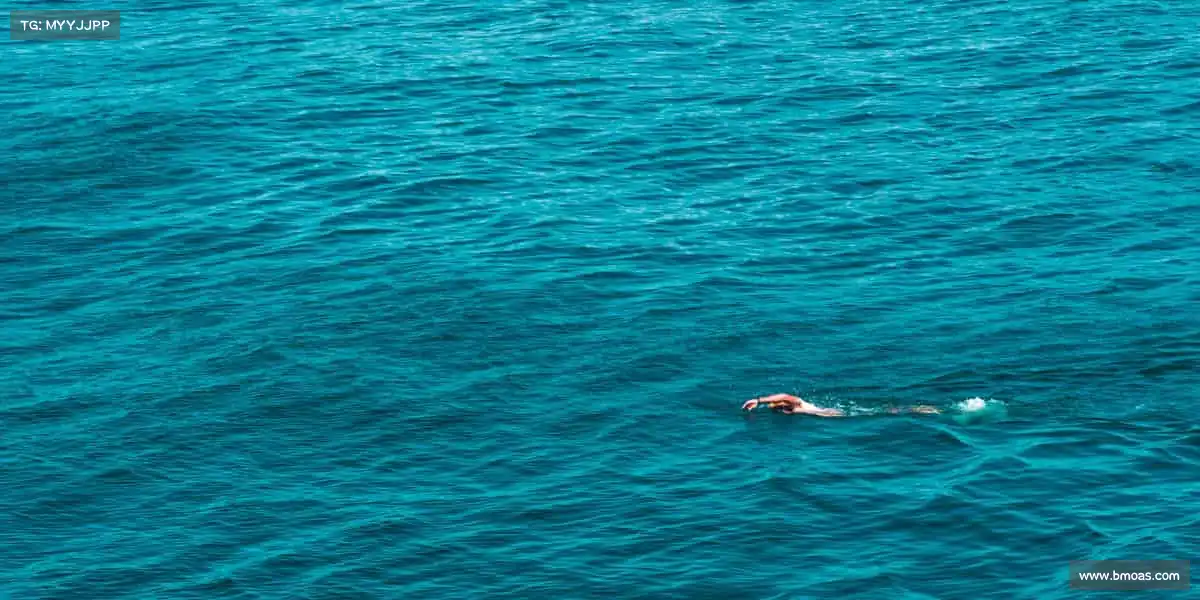 行业领先的理由